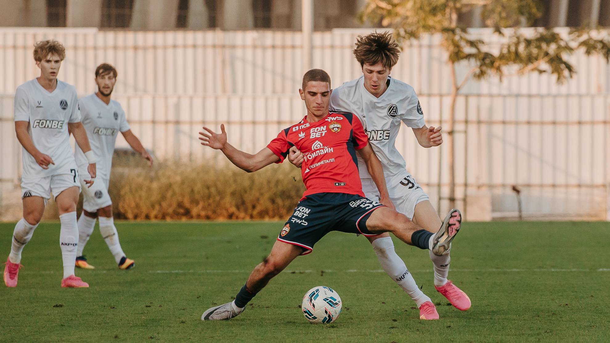 Превью новости